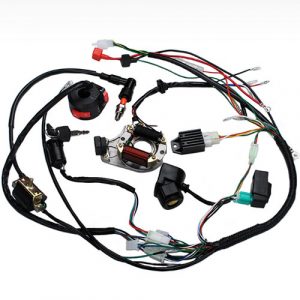 CDI Ignition Coil Wire Harness Stator Assembly electric Parts for ATV
