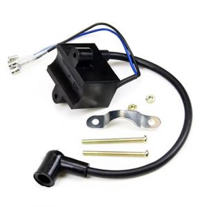 Ignition Coil CDI for 49cc-80cc Bike 2 stroke Engine Motorized Bicycle